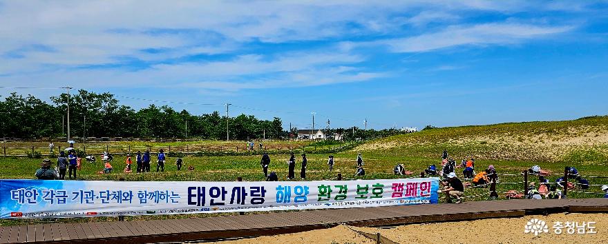 태안군개발위원회해양환경보호캠페인전개 2