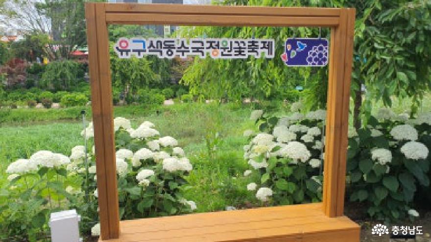 제3회유구색동수국정원꽃축제 7