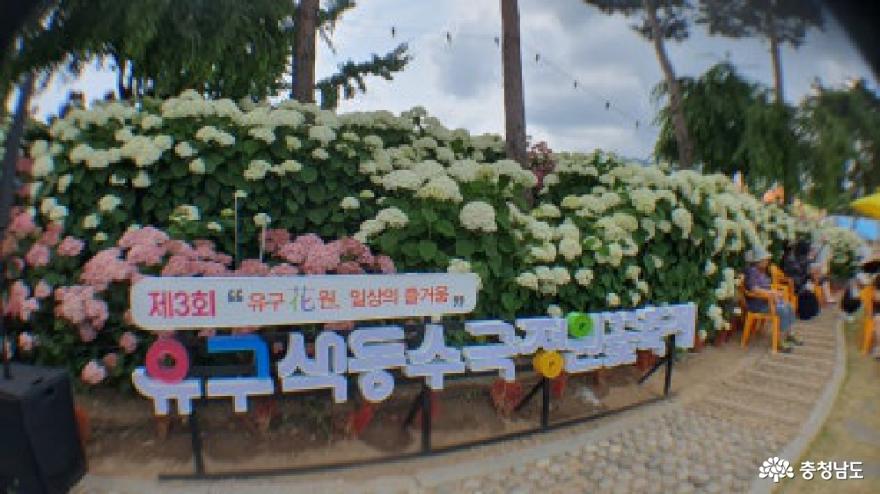 제3회유구색동수국정원꽃축제 12