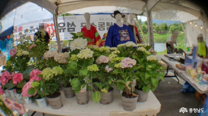 제3회유구색동수국정원꽃축제 30