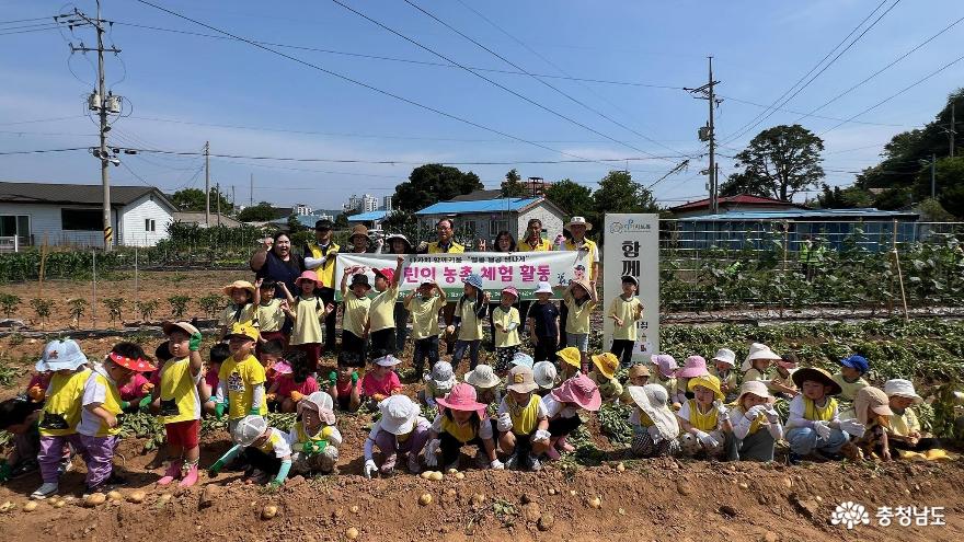대천4동 주민자치회, 어린이 감자캐기 현장 체험학습 사진