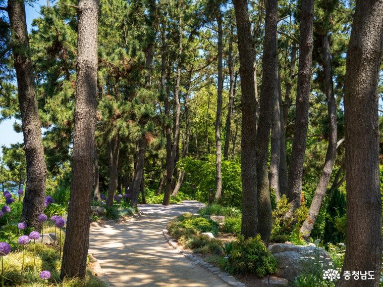 태안의 아름다움을 수목원에서 만나다. 천리포수목원 사진