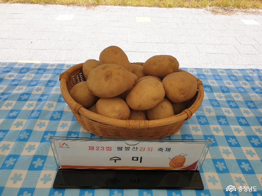 3만명이 찾은 제23회 팔봉산 감자축제 사진