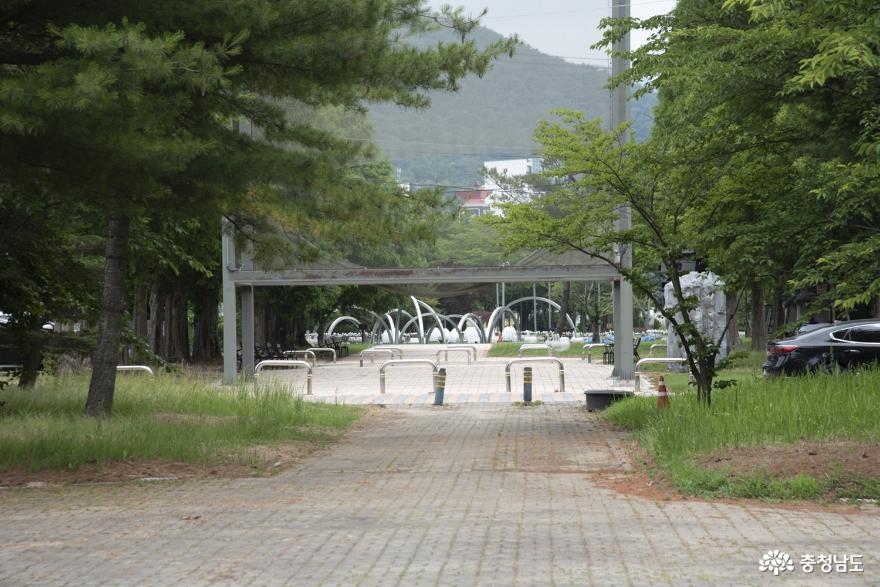 온천수 머금은~ 덕산온천 황톳길 사진
