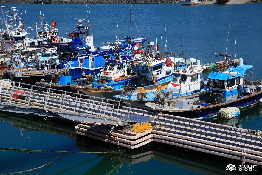 홍원항에 정박해있는 배들