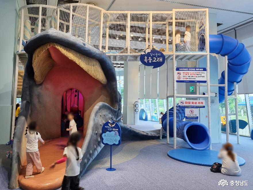 국립해양생물자원관 씨큐리움 - 어린이 체험 전시실 '마다마을 고래고래'