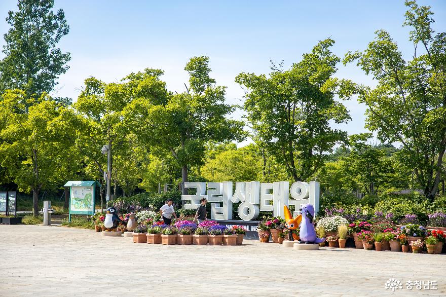 '국립'이라는 단어가 너무나도 어울리는 최고의 생태 테마파크 서천 '국립생태원' 사진