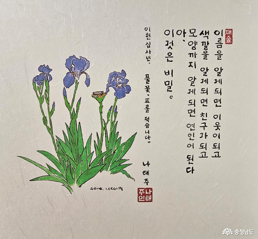 공주나태주시인의풀꽃문학관탐방 25