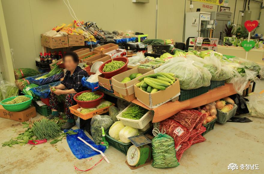 여름 재철 야채들이 가득한 서천특화시장