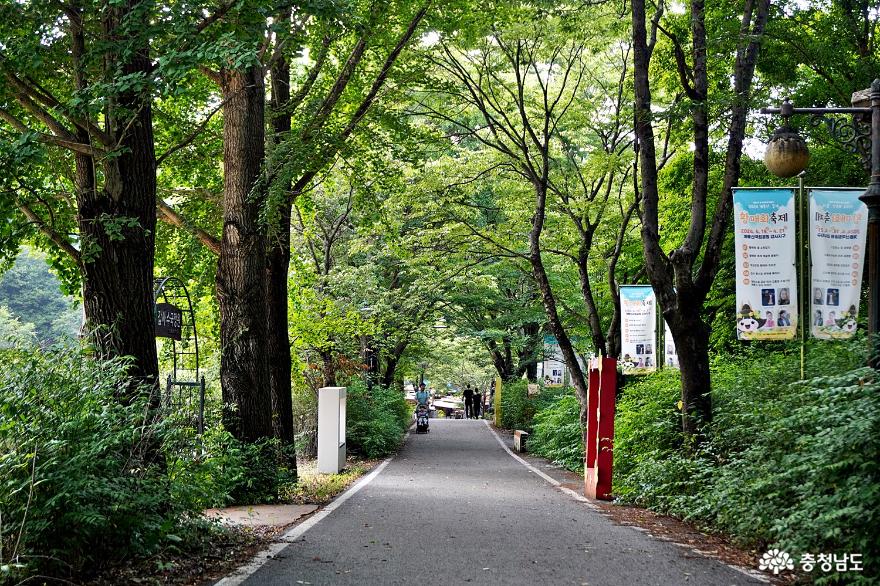 갑사 숲길