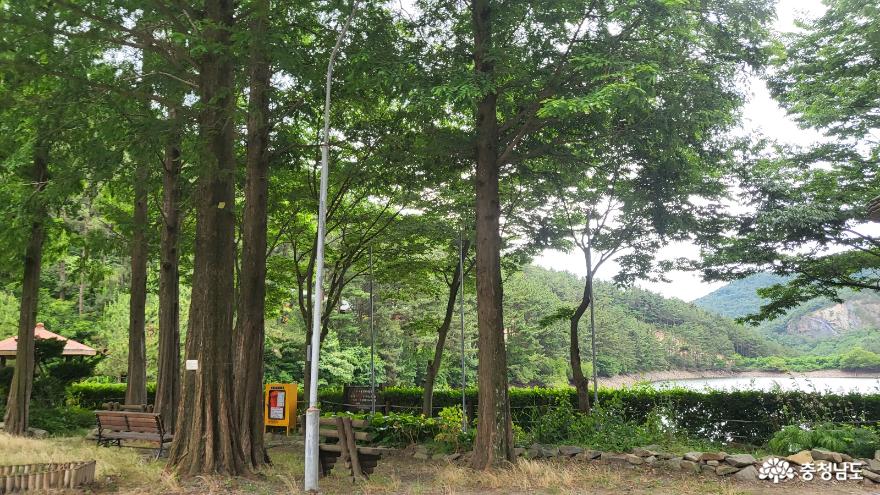 국내 유일 천연해송림으로 이루어진 서천희리산자연휴양림에서 캠핑과 산림복합체험센터 이용하기. 사진