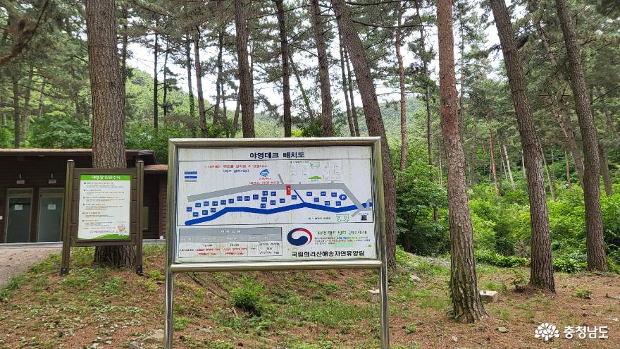국내 유일 천연해송림으로 이루어진 서천희리산자연휴양림에서 캠핑과 산림복합체험센터 이용하기. 사진