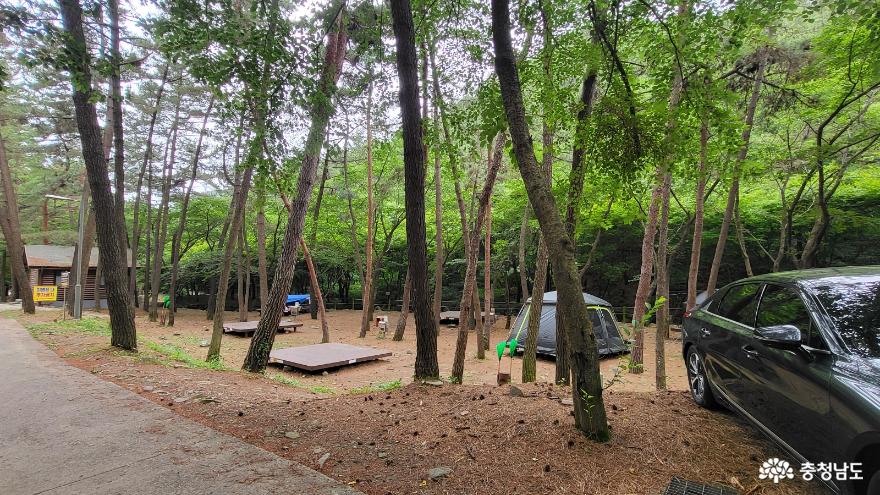 국내 유일 천연해송림으로 이루어진 서천희리산자연휴양림에서 캠핑과 산림복합체험센터 이용하기. 사진
