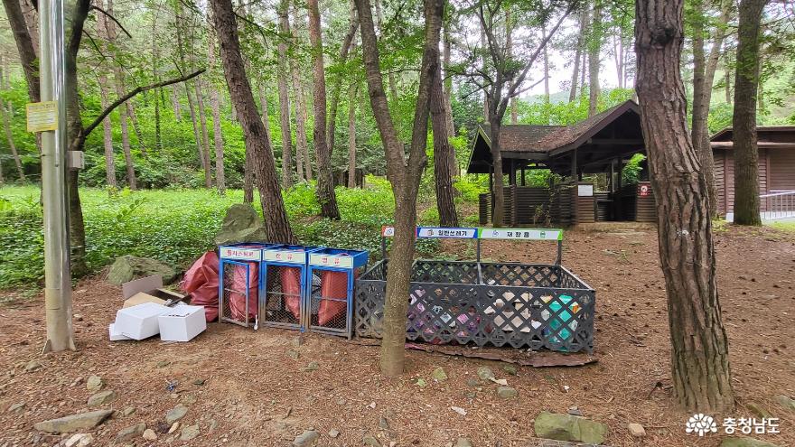 국내 유일 천연해송림으로 이루어진 서천희리산자연휴양림에서 캠핑과 산림복합체험센터 이용하기. 사진