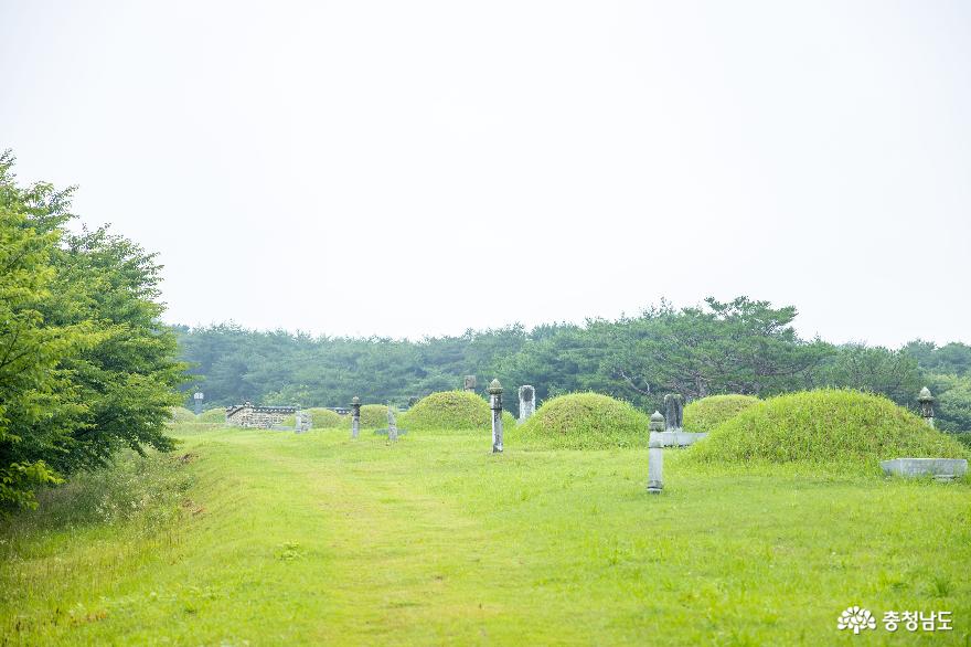 두 개의 이름을 가진 위인의 묘역 '이의무 묘 및 신도비 & 능안생태공원' 사진