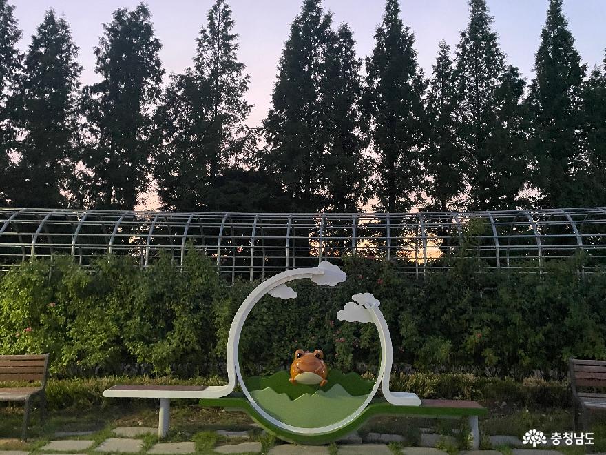 천안 성성호수공원에 나타난 아기오리 부성이 사진