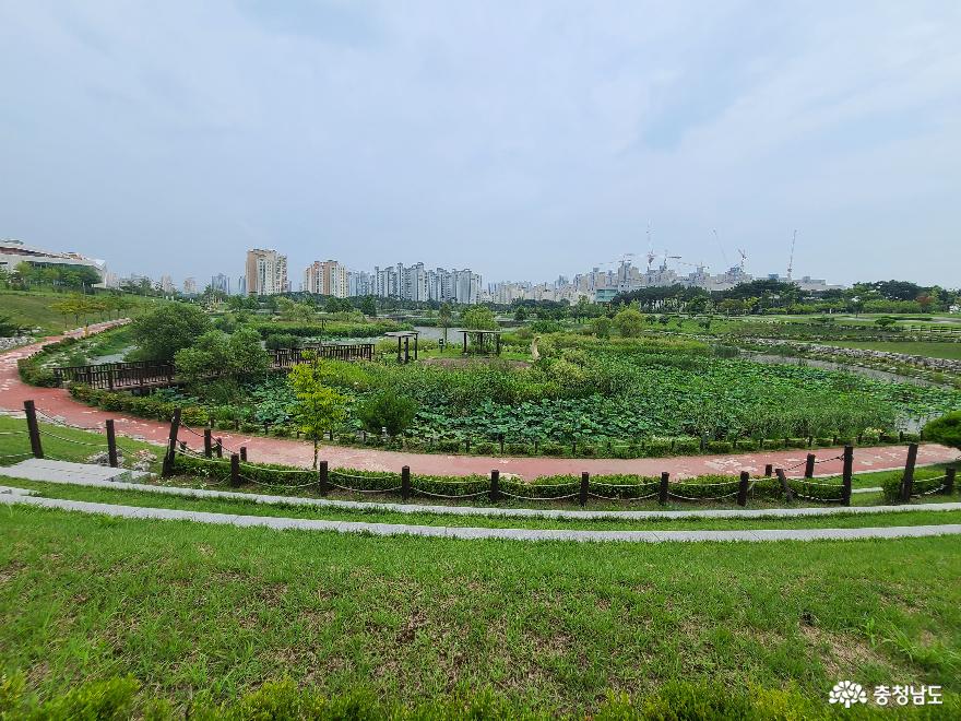 여름날의 홍예공원