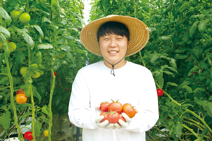 민정욱 청년농부가 직접 재배한 완숙토마토를 선보이고 있다. /사진 최현진 