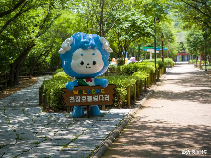 청양여행, 스릴있고 아름다운 천장호출렁다리를 추천해요. 사진