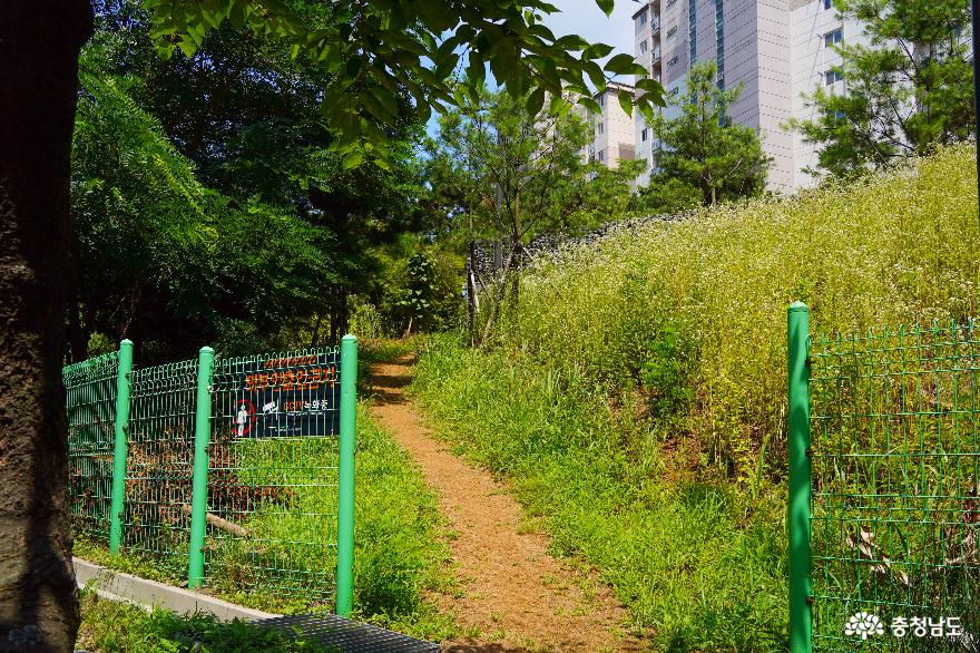 아파트 빌딩 숲 속 녹색 공간 '신관어울림공원'을 소개합니다!