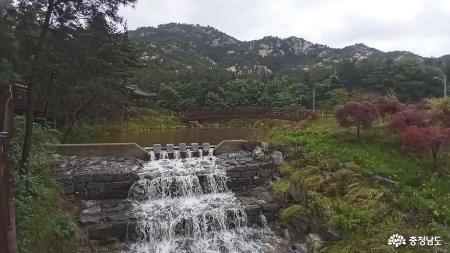 백화산 서쪽에 위치한 샘골 청조루 연못 풍경