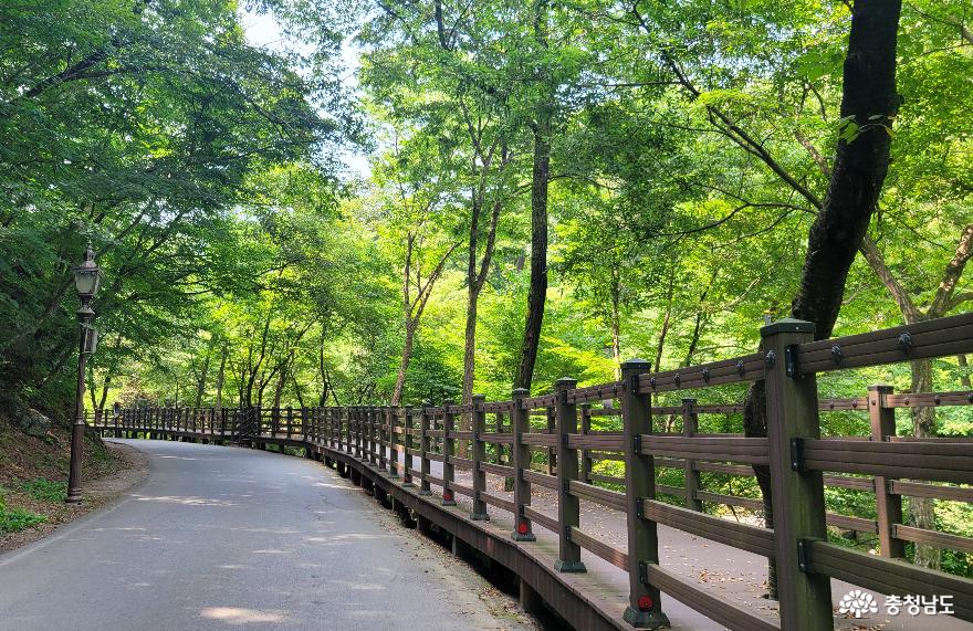 충남 공주시 마곡사 계곡을 따라 조성된 데크길.  