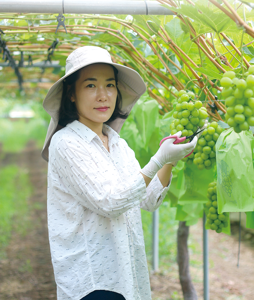 “미용사에서 포도밭 일구는 꿈많은 농부로”