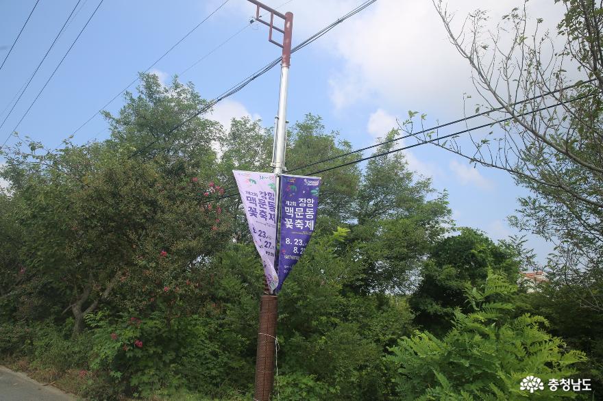 다양한 체험과 먹거리가 있는 제2회 장항 맥문동 꽃 축제의 현장으로