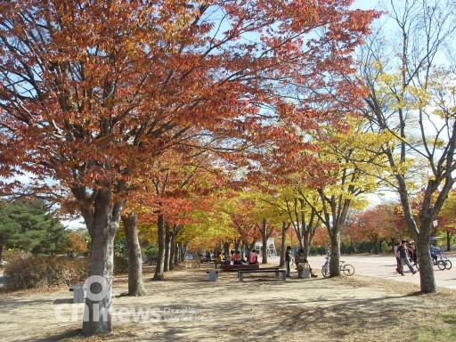 가을이내려앉은독립기념관 2