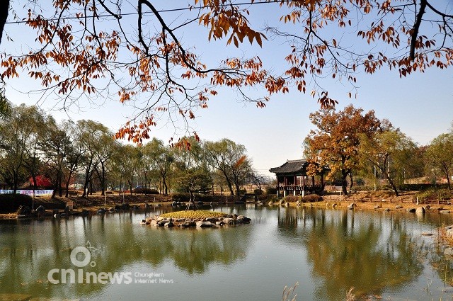 천안삼거리공원서 가을의 끝자락을 밟다 사진