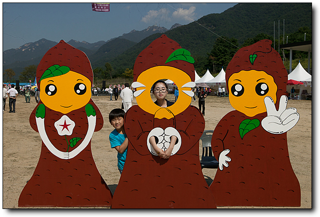 땅속의 건강보물, 상월 명품 고구마 축제 사진