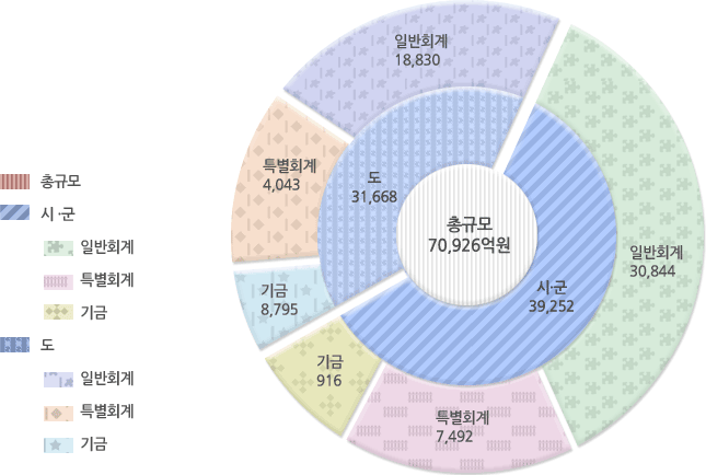 2004년도 재정규모