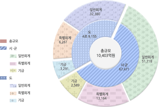 2009년도 재정규모