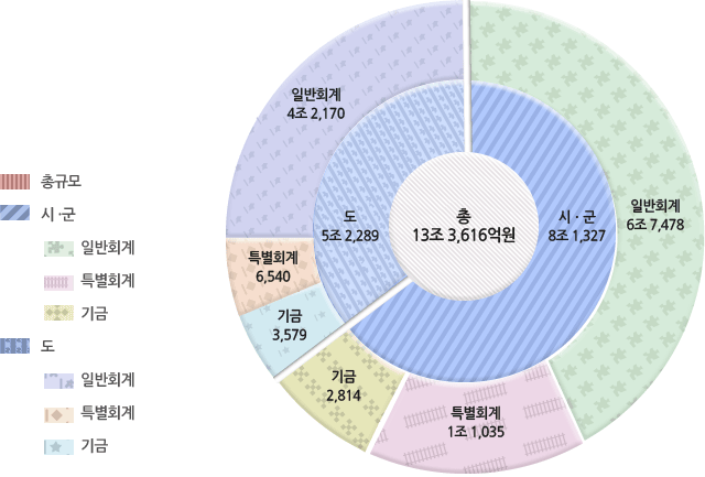 2015년도 재정규모