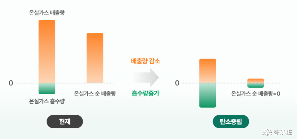 2024년 '위대한 탄생' 시작을 알립니다