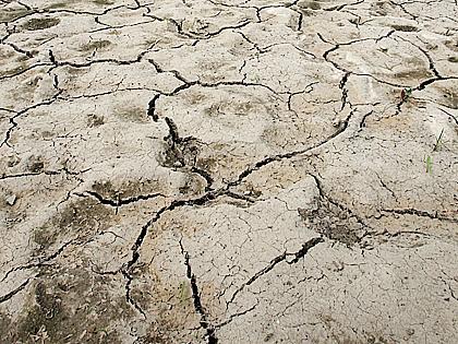 10년만의 봄가뭄 극복 단계별 상황실 운영키로