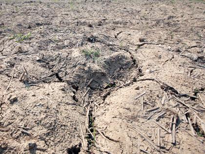 가뭄 피해지역 찾아 상황·대책 점검
