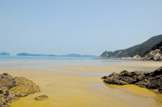 눈부신 모래 위 해송(海松) 가득한 ‘비밀의 해변’