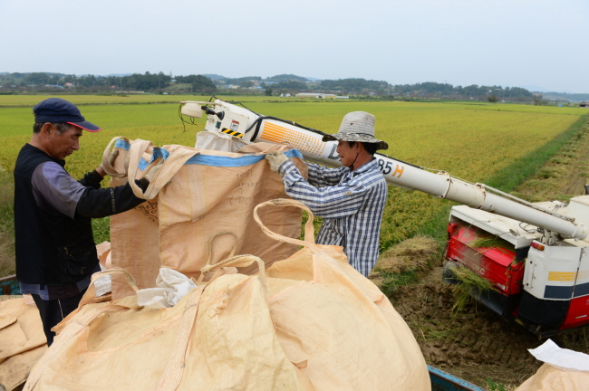 국내 최대 규모의 친환경쌀 재배단지가 조성되어 있는 홍성군 홍동면에서 친환경쌀 추수가 시작됐다. 