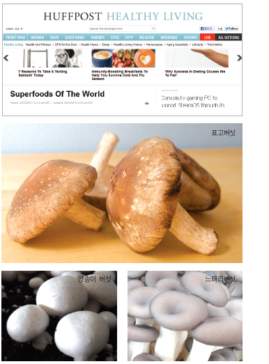 현대인의웰빙식품국산버섯해외서도인정 1