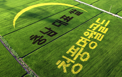 청풍명월 골드, 2년 연속 전국 최고 쌀 올랐다