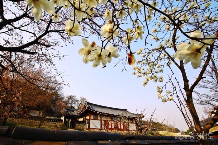 600년 전통 지켜오고 있는 조선시대 지방교육기관