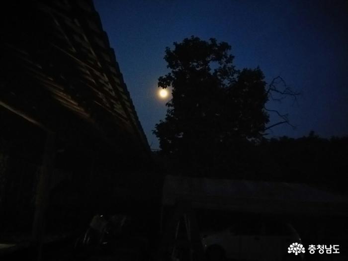 시골의 달밤