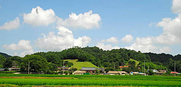 예조판서 묘와 사당이 있는 느티나무 마을 사진