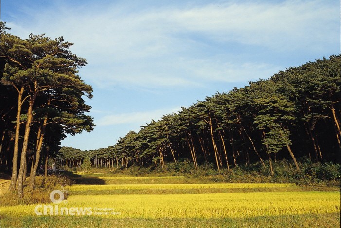 Anmyeon-do, the Island of Recreation and Leisure 사진