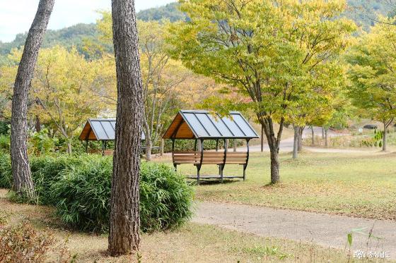 우리나라 황새복원의 중심! 예산황새공원