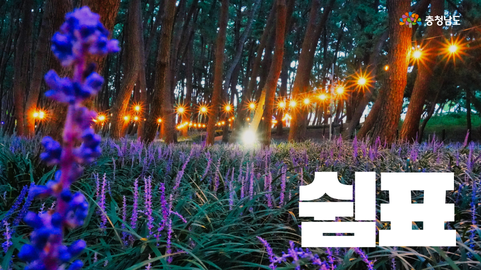 이번 주말, 서천에서 천천히 쉬어가세요💜