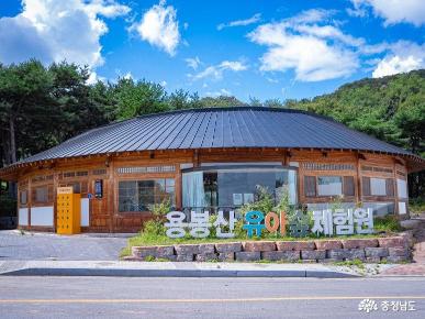 ​[홍성 가볼 만한 곳] 현지인도 잘 모르는 숨은 보석, 한옥의 미가 어우러진 '용봉산 유아숲체험원'