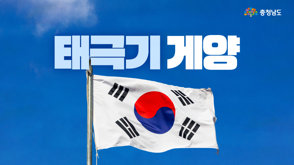 제81주년 광복절, 우리 집에도 태극기를 달아주세요🇰🇷