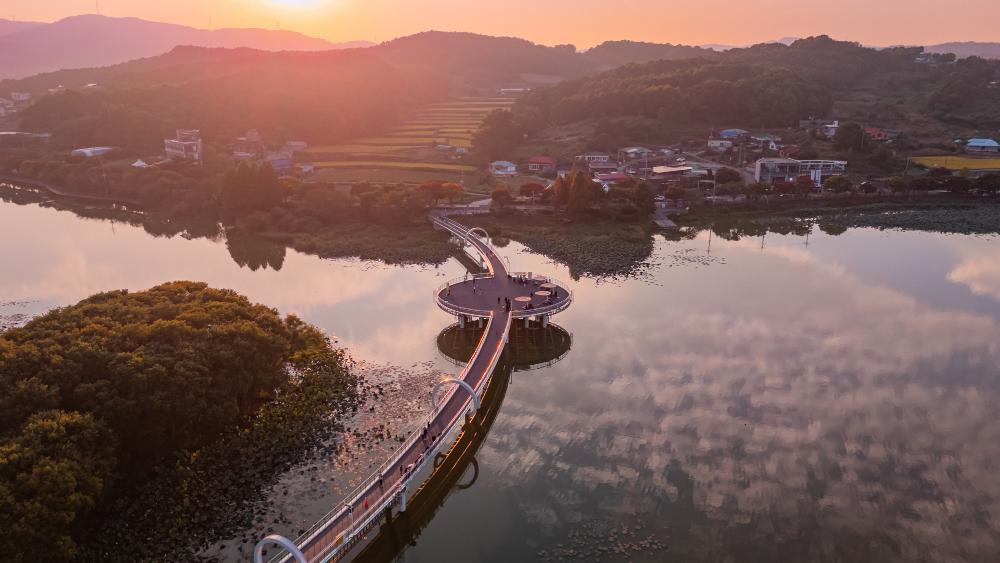 아산 가볼만한곳 신정호정원의 가을과 달빛누리교 야경을 소개합니다. 